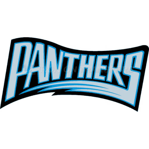 Carolina Panthers Iron-on Stickers (Heat Transfers)NO.441